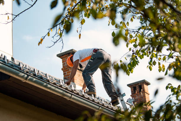 Best Storm Damage Roof Repair  in Forestville, MD