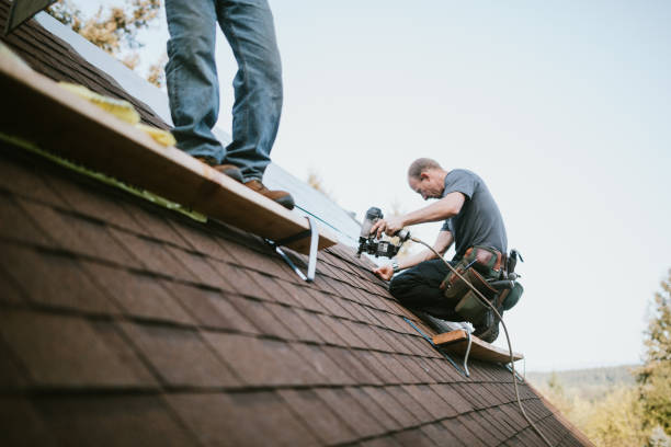 Quick and Trustworthy Emergency Roof Repair Services in Forestville, MD